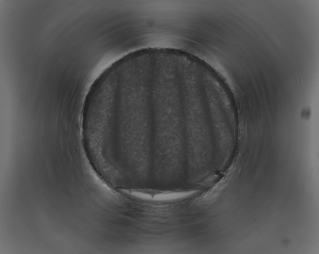 X0000092290935200710121431