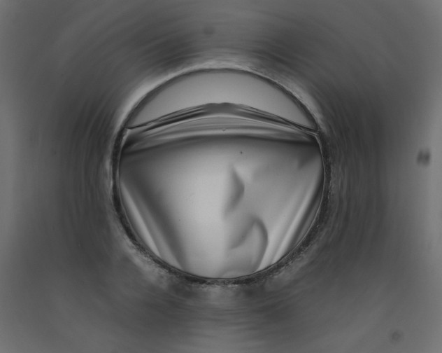 X0000092290936200710121431