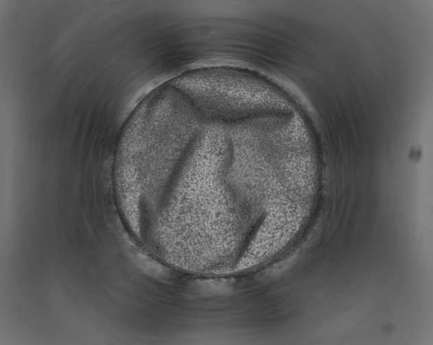 X0000092290937200710121431