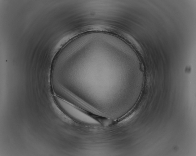 X0000092290938200710121431