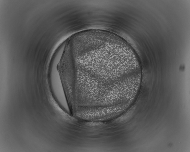 X0000092290939200710121431