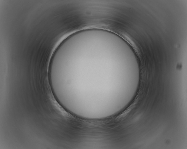 X0000092290940200710121431