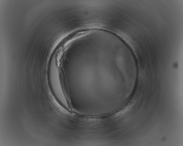 X0000092290941200710121431