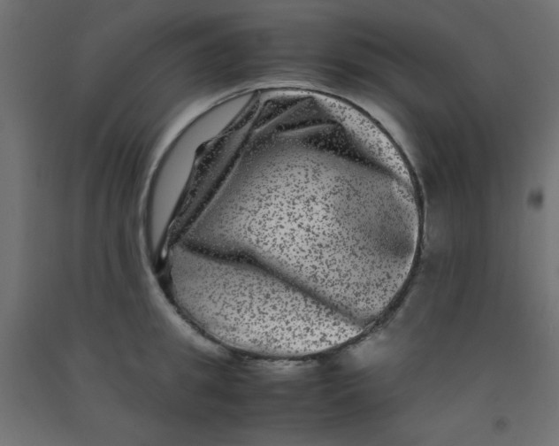 X0000092290949200710121431