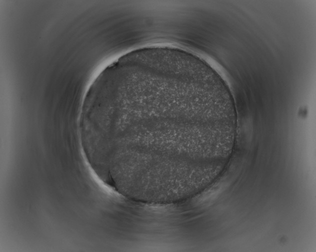 X0000092290951200710121431