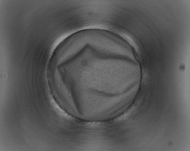 X0000092290952200710121431