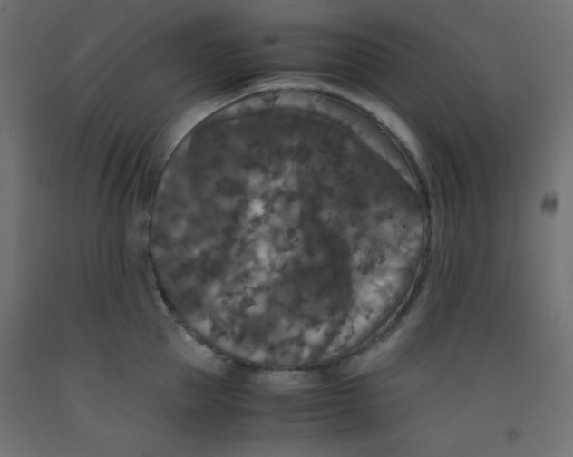 X0000092290953200710121431