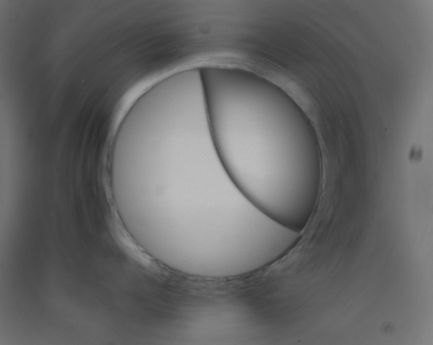 X0000092290960200710121431