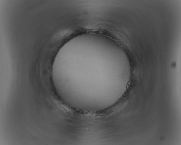 X0000092290961200710121430