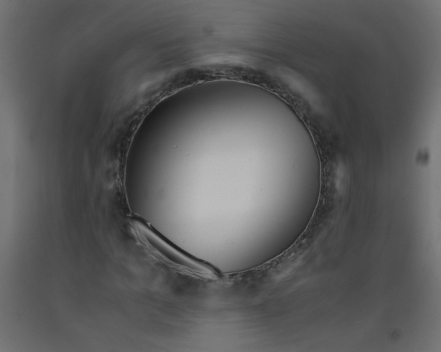 X0000092290965200710121430