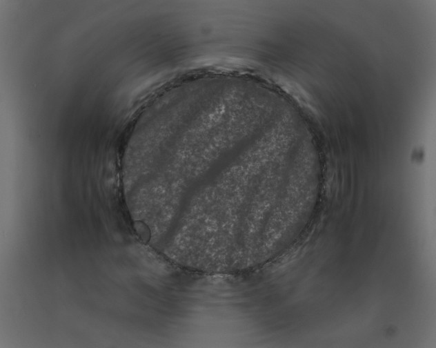 X0000092290966200710121430