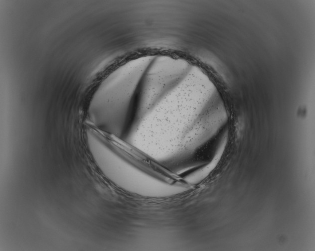 X0000092290968200710121430