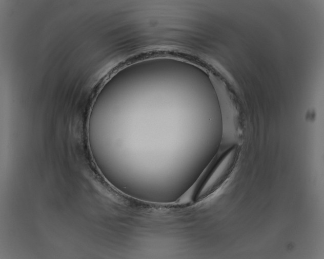 X0000092290969200710121430