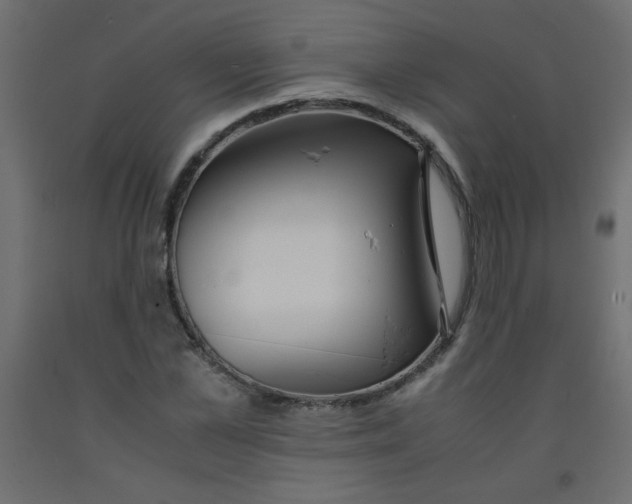 X0000092290973200710121430