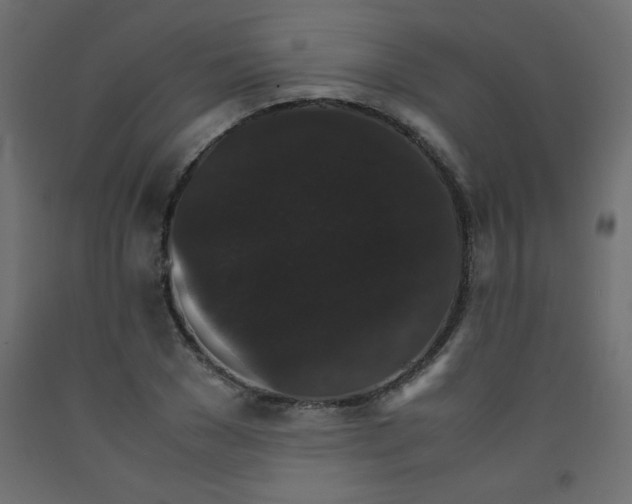 X0000092290977200710121430