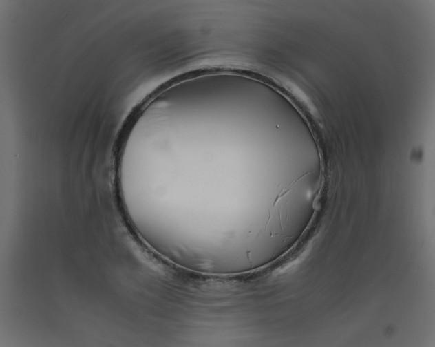 X0000092290981200710121430