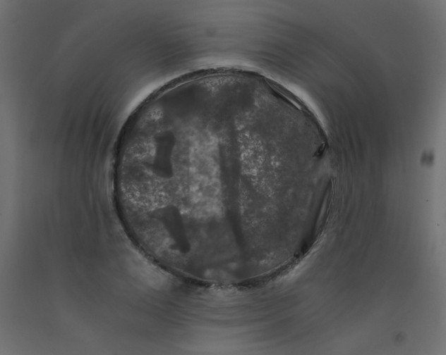 X0000092290983200710121430