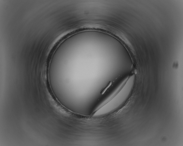 X0000092290984200710121430