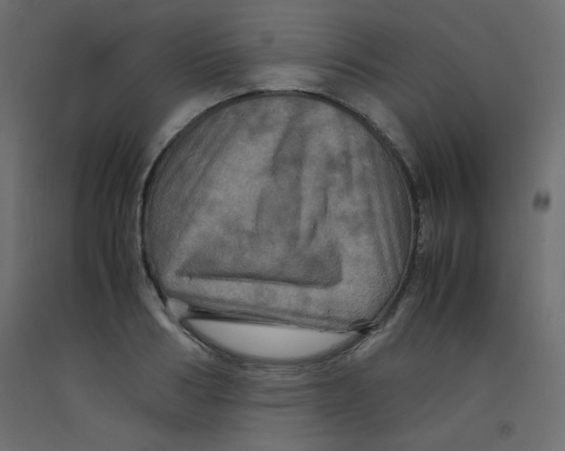 X0000092290986200710121430