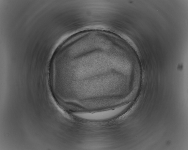 X0000092290989200710121430