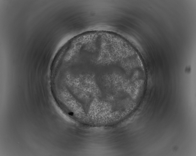 X0000092290990200710121430