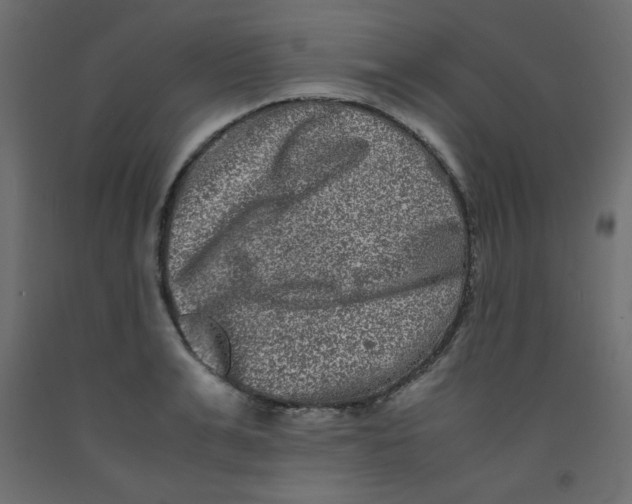 X0000092290991200710121430