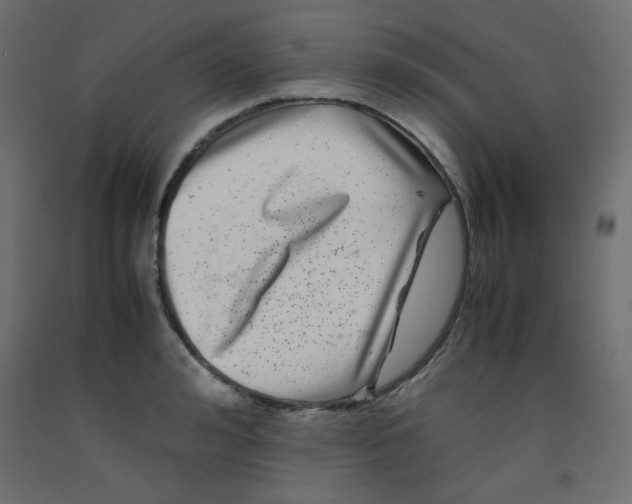 X0000092290992200710121430