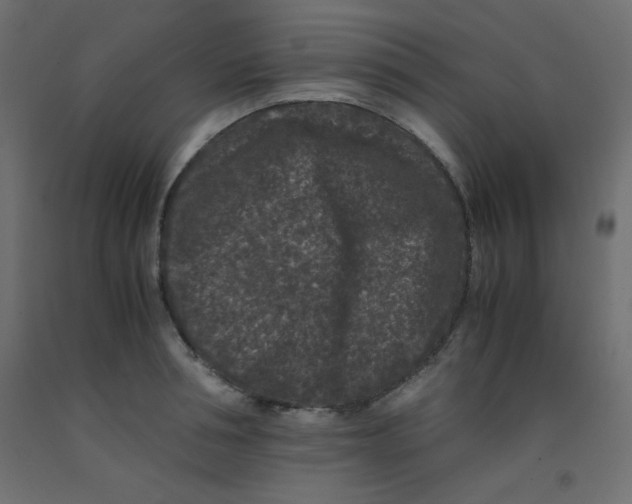 X0000092290994200710121430