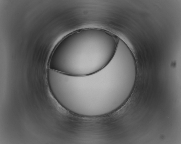 X0000092290996200710121430