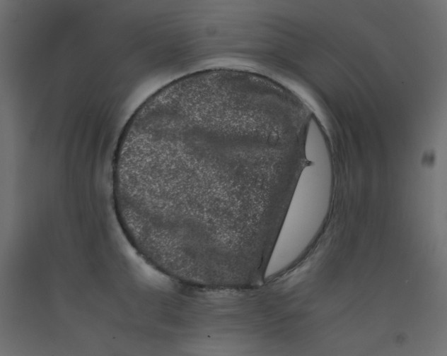 X0000092290999200710121430