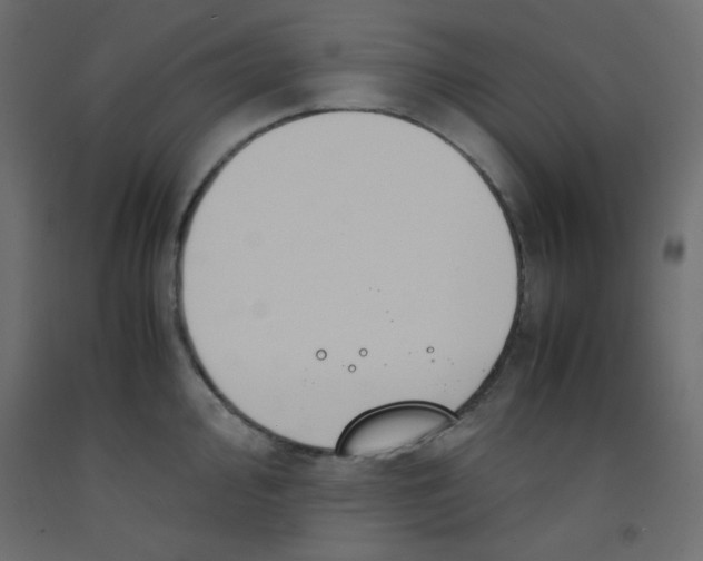 X0000092291000200710121430