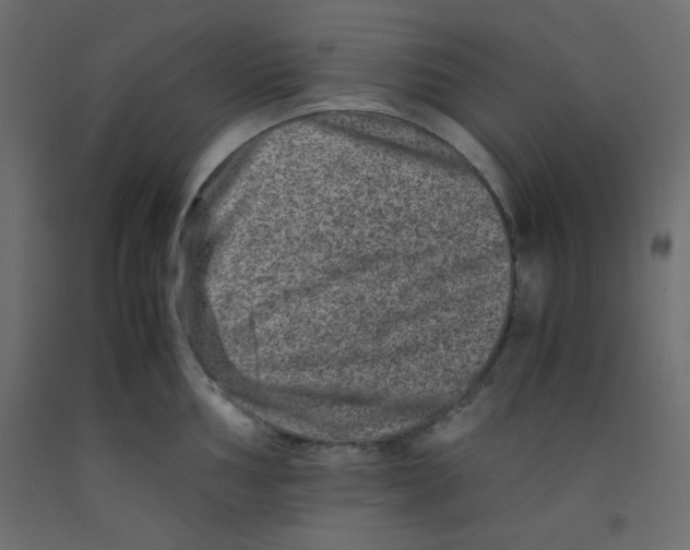 X0000092291002200710121430