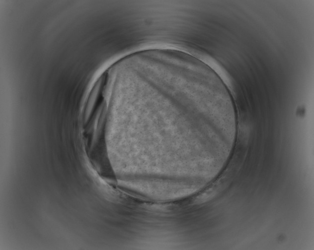 X0000092291004200710121430