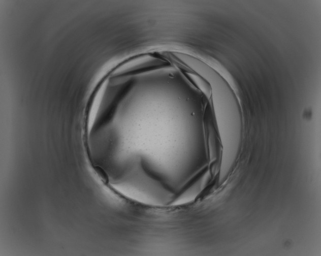 X0000092291005200710121430