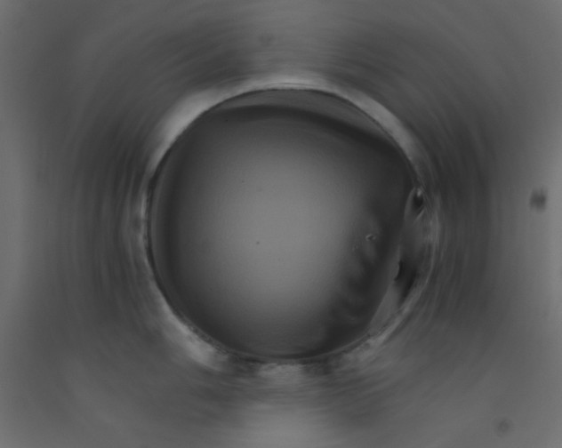 X0000092291006200710121430