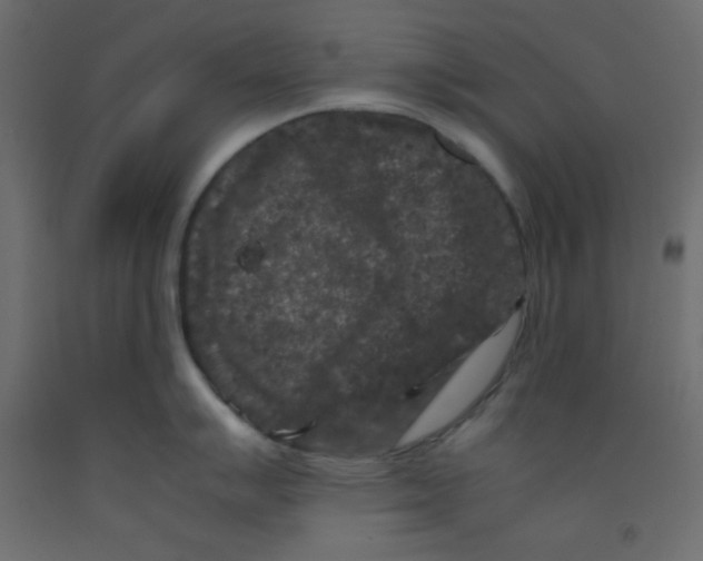 X0000092291007200710121430