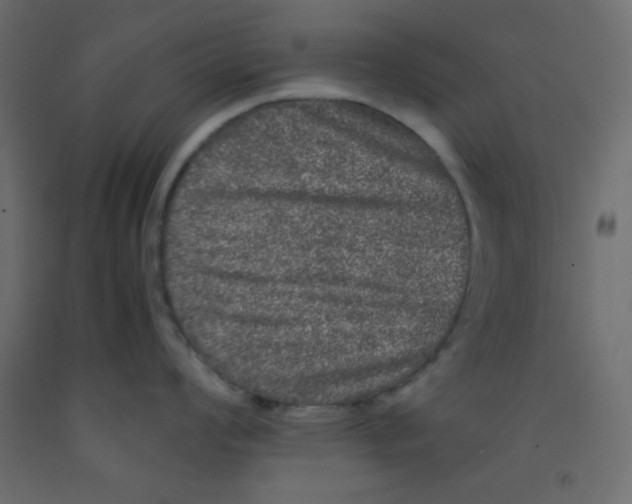 X0000092291008200710121430