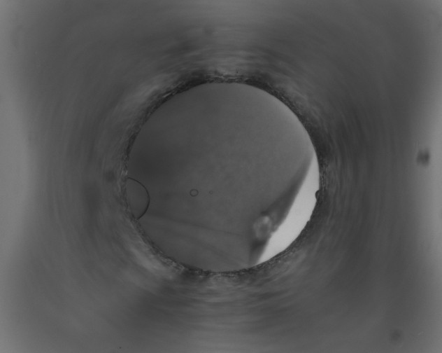 X0000092291009200710121429