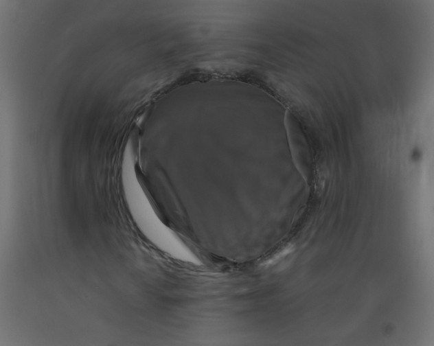 X0000092291010200710121429