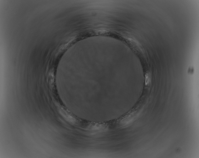 X0000092291011200710121429