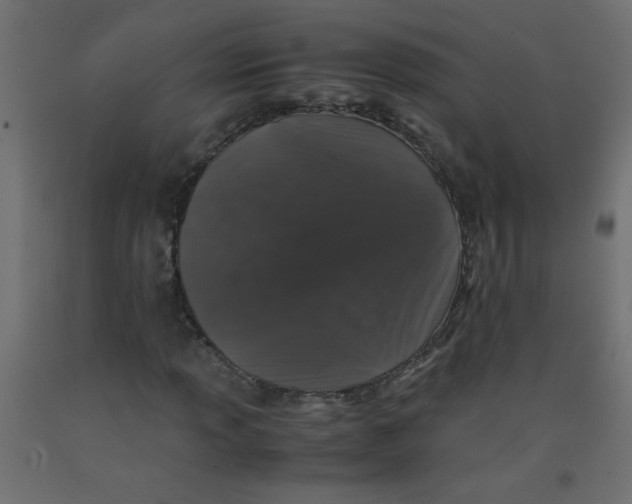 X0000092291013200710121429