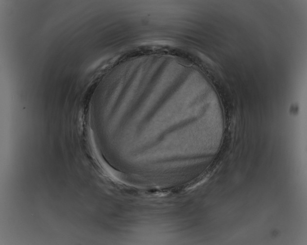 X0000092291014200710121429