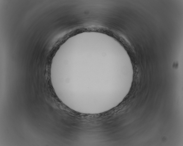 X0000092291016200710121429