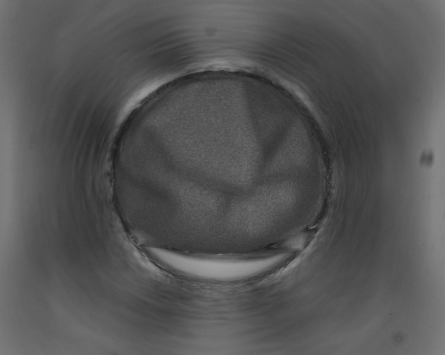 X0000092291018200710121429