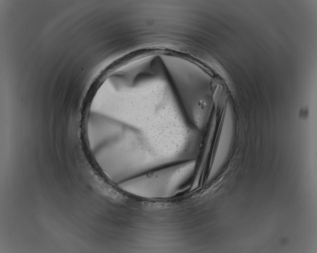 X0000092291020200710121429