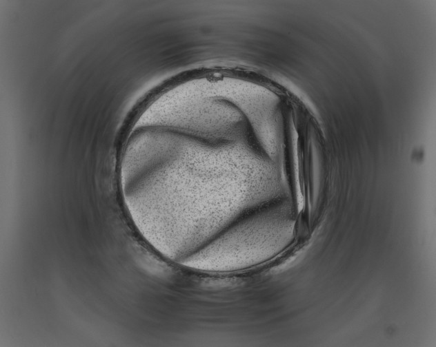 X0000092291021200710121429