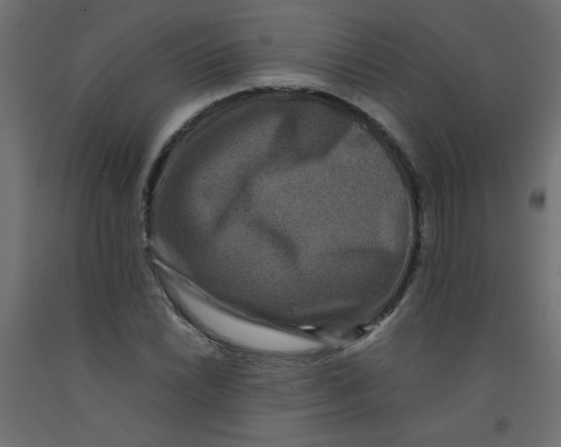 X0000092291022200710121429