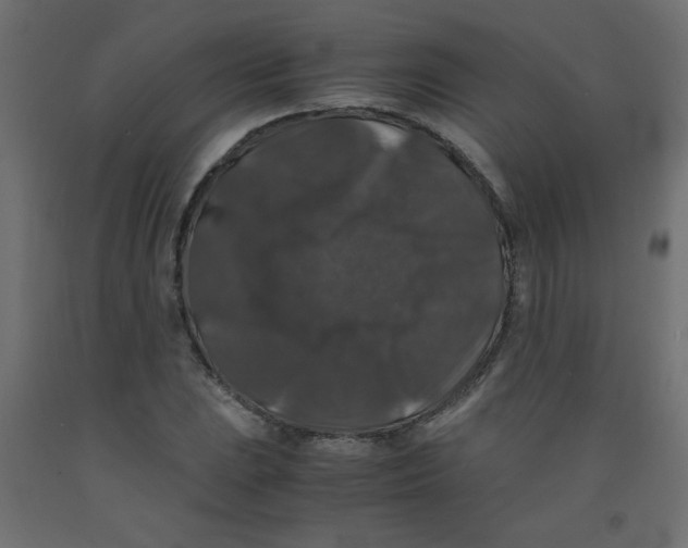 X0000092291023200710121429