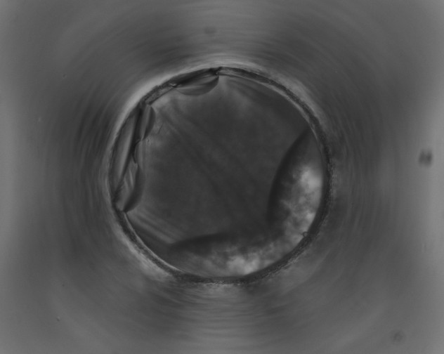 X0000092291024200710121429