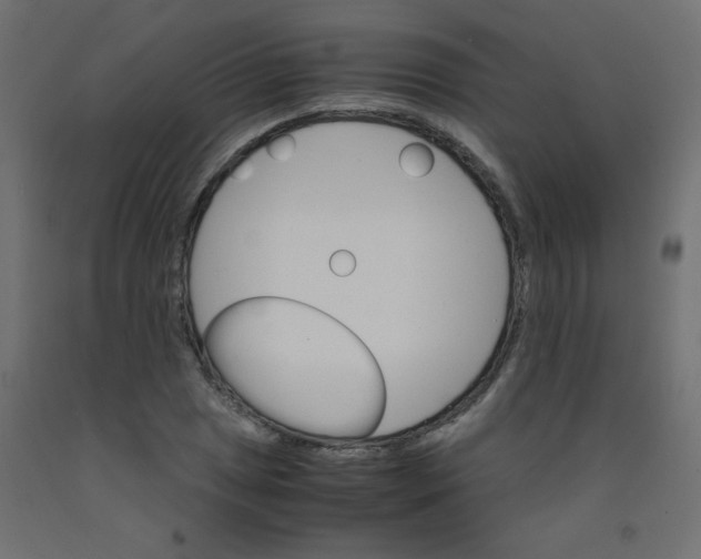 X0000092291025200710121429